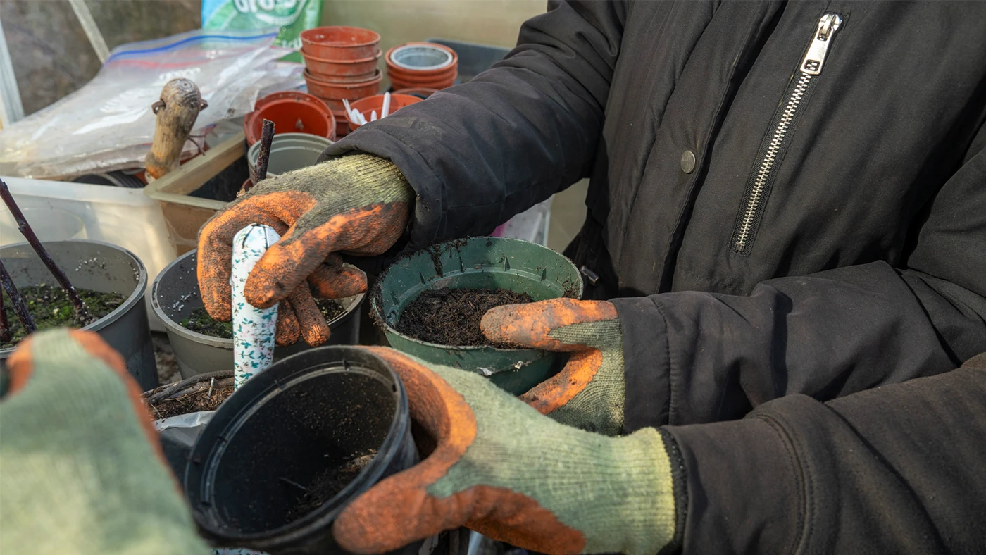 Sycamore Gardening volunteers with plant pots